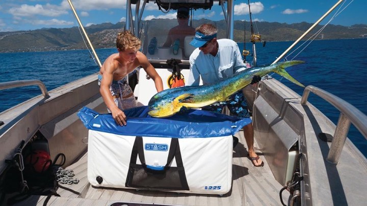 inflatable stash cooler fish
