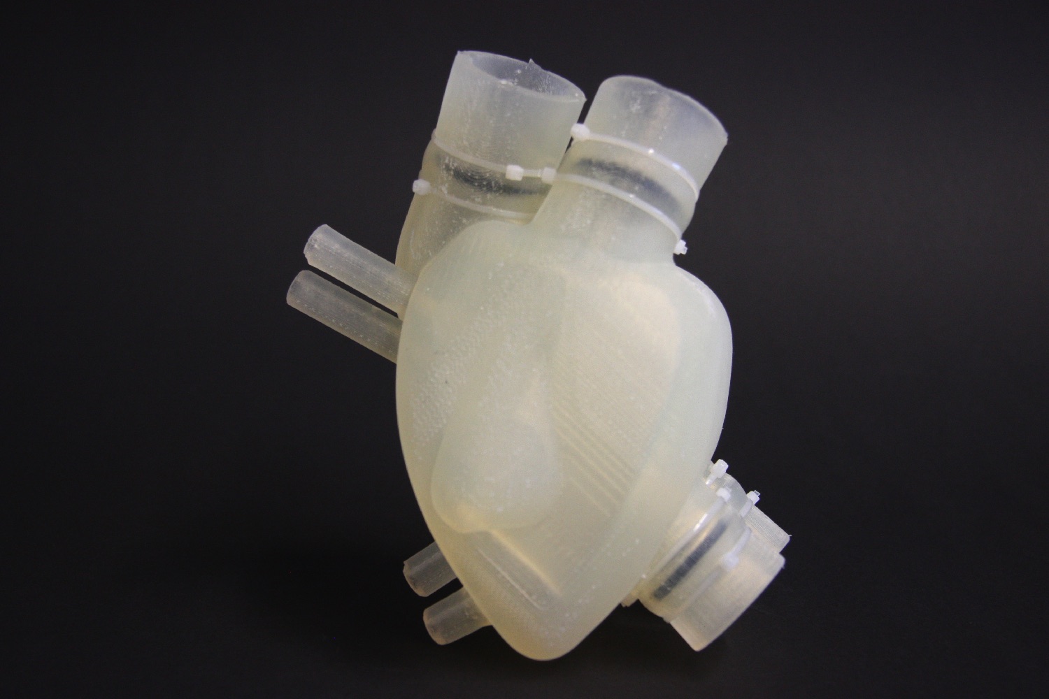 3d printed silicone heart img 8040