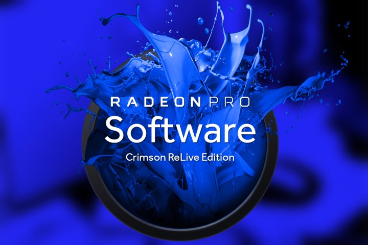 Radseon software