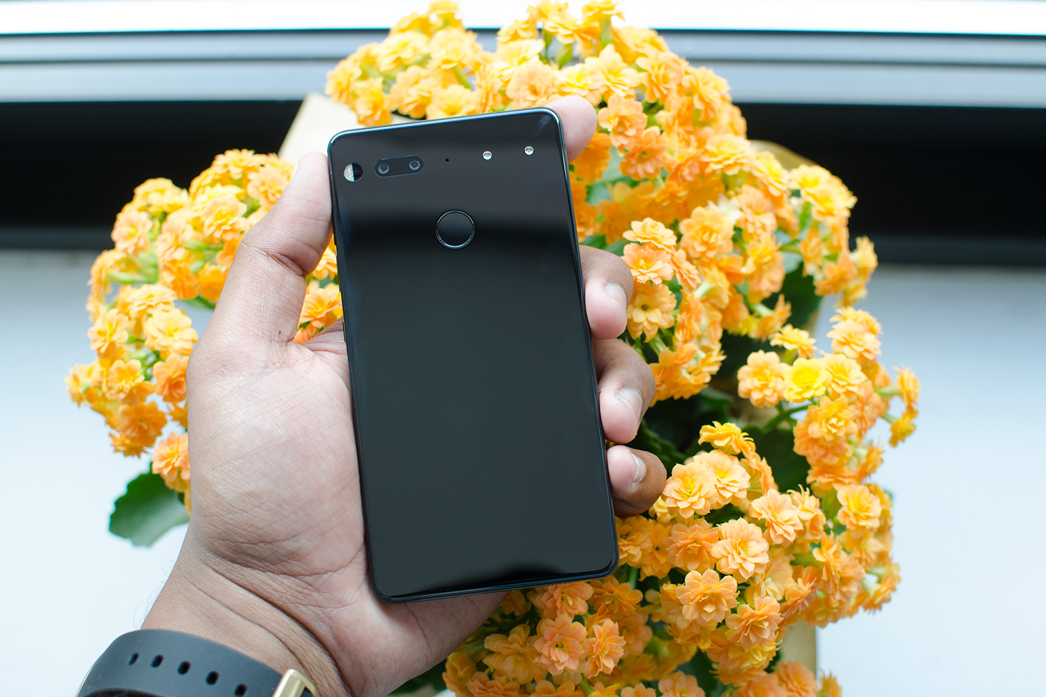 Essential phone review back flowers