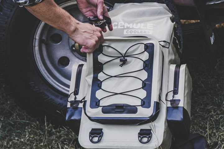 icemule boss cooler you can take anywhere