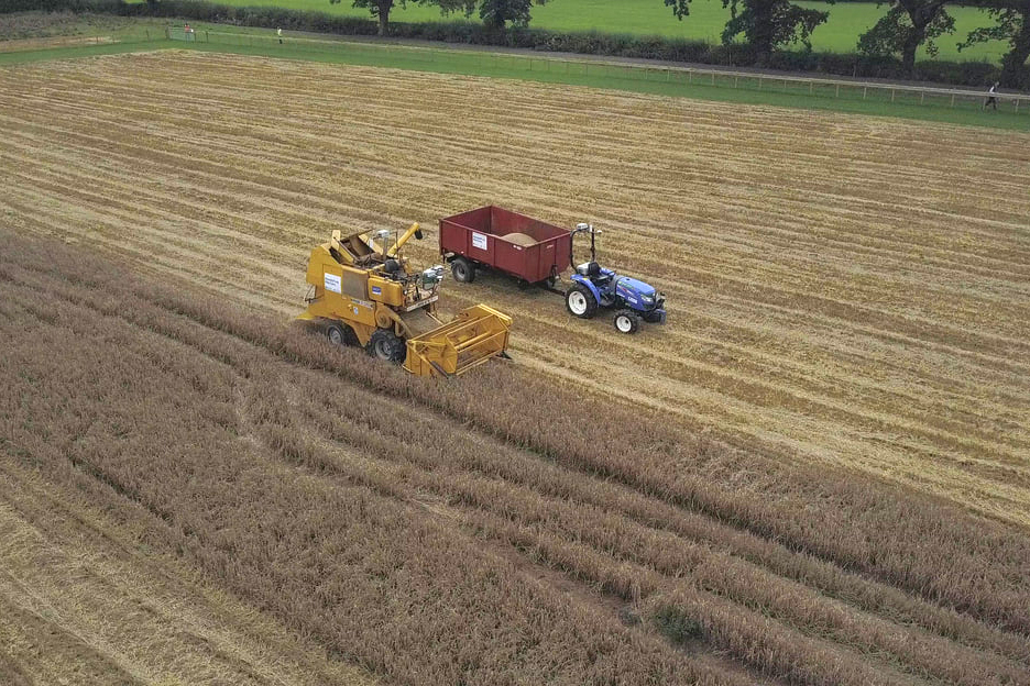 Robot Farmers Harvest Barley Hands Free Hectare