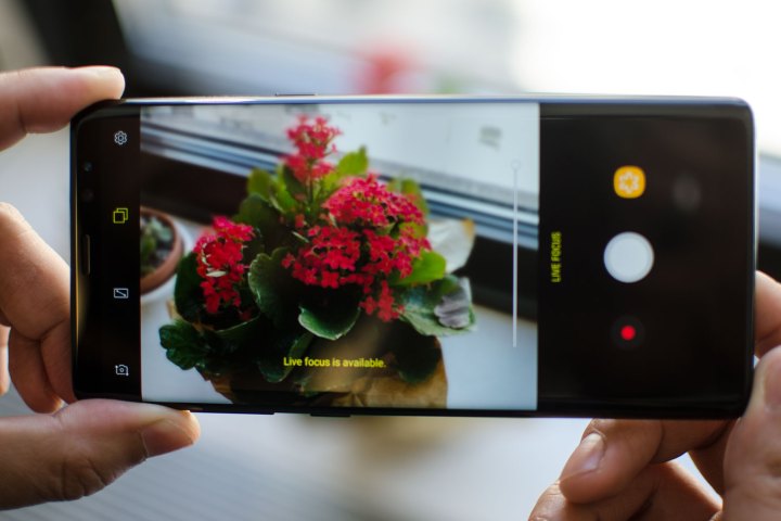 Samsung Galaxy Note 8 review camera pp