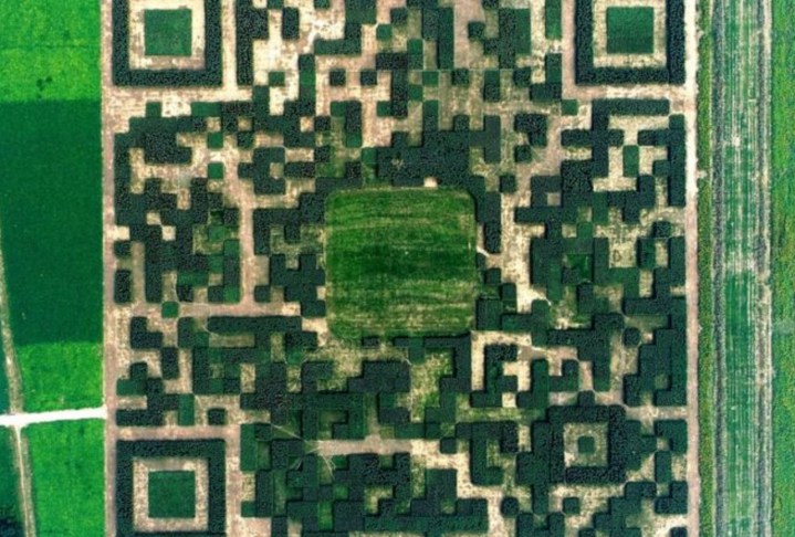 giant qr code made of trees china 1