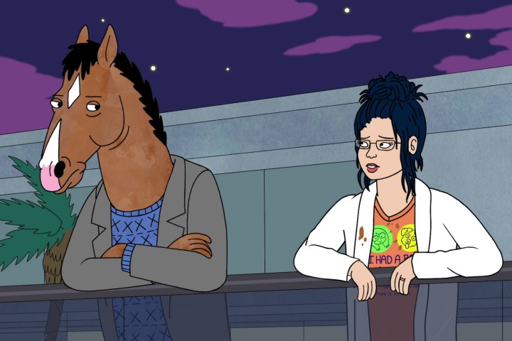 Best new shows and movies to stream Bojack Horseman