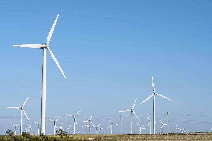 Un grupo de molinos de viento para la producción de energía eléctrica renovable.