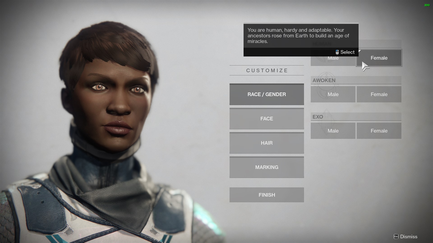 destiny 2 performance guide highest  character creation