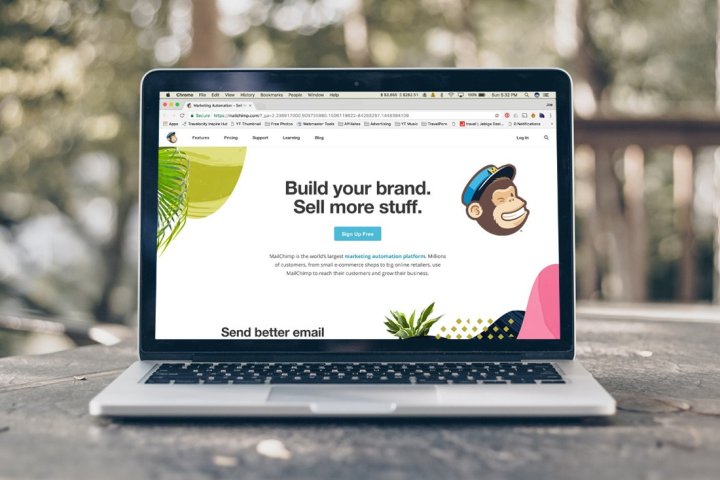 mailchimp double opt in spam mail chim feat