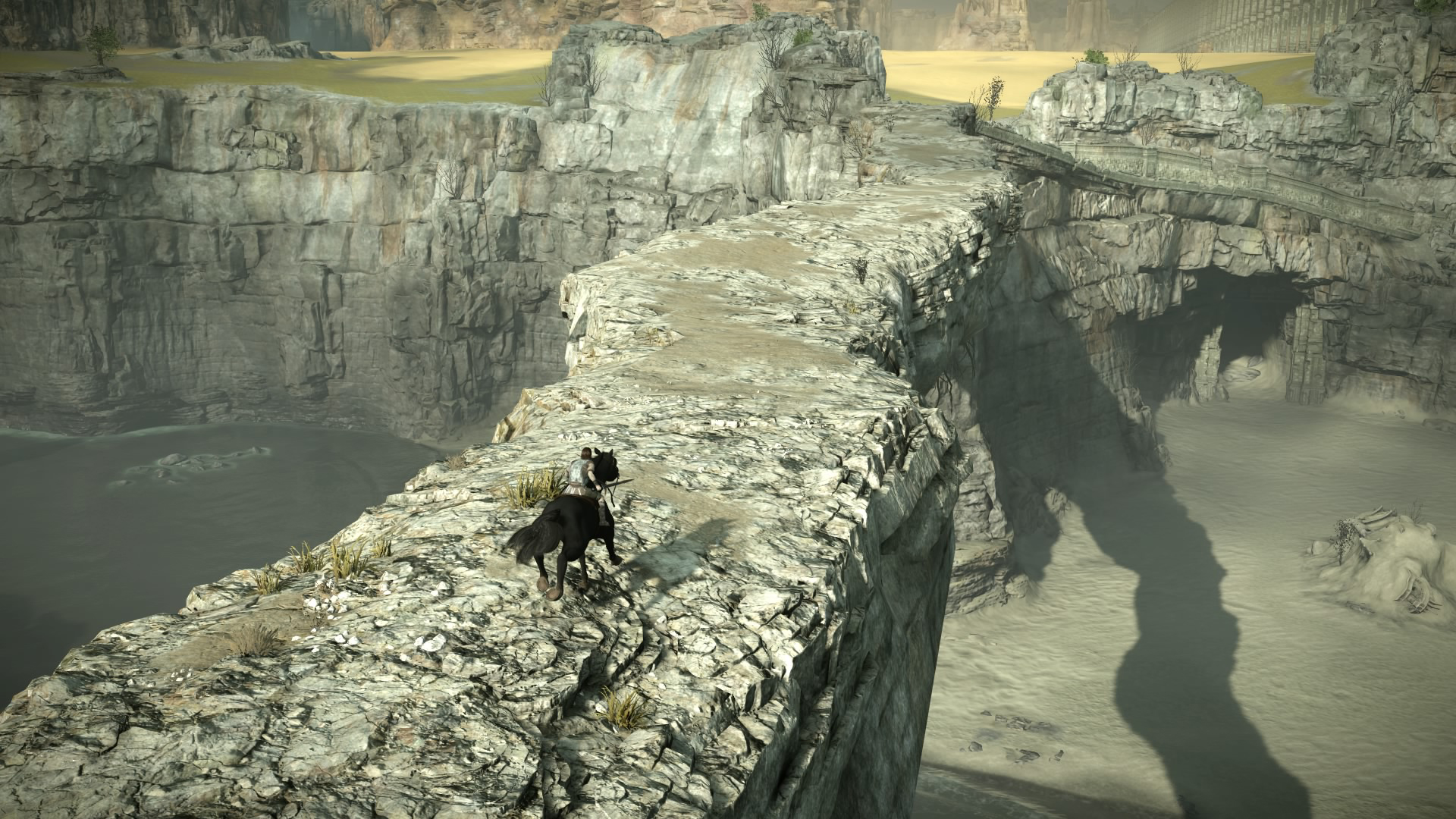 Shadow of the Colossus Review Glorious and Gargantuan Digital Trends