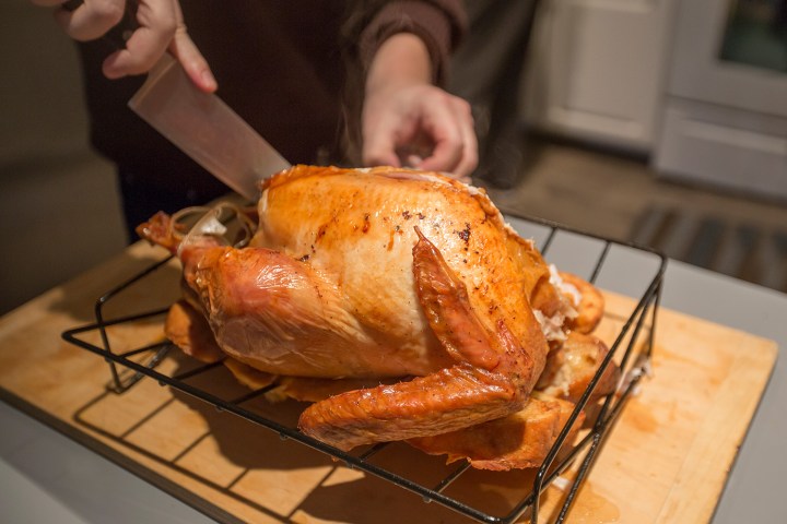 thanksgiving fails turkey skin