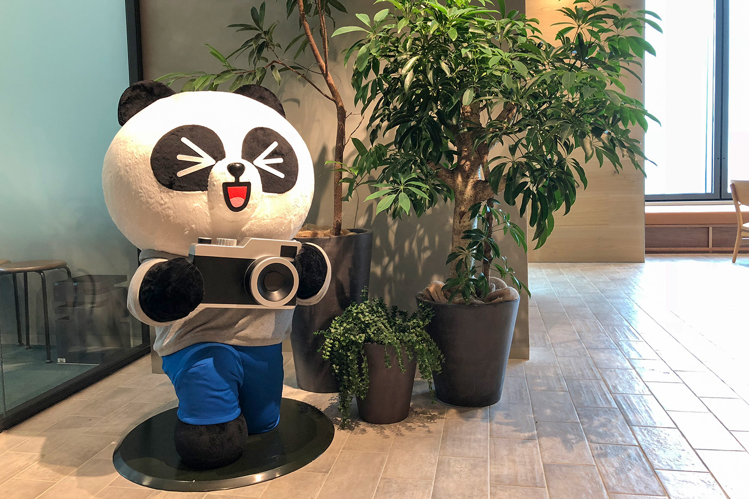 Line AI panda camera