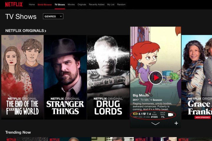 A Netflix menu screen.
