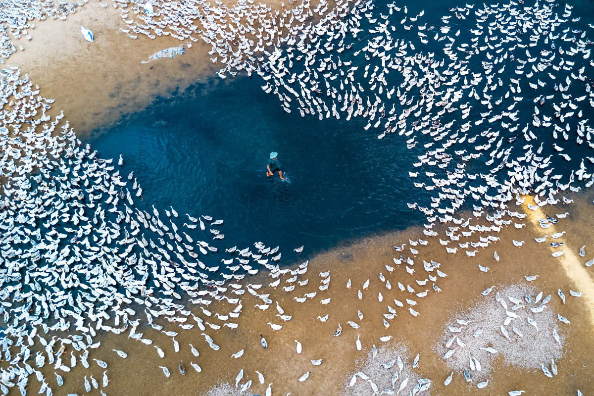 skypixel story drone photography contest 2017 winners 21