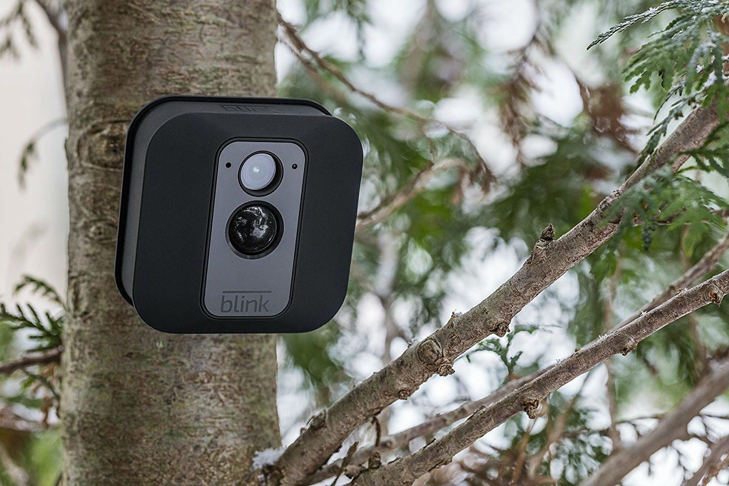 How to reset Blink cameras | Digital Trends - Vimarsana News