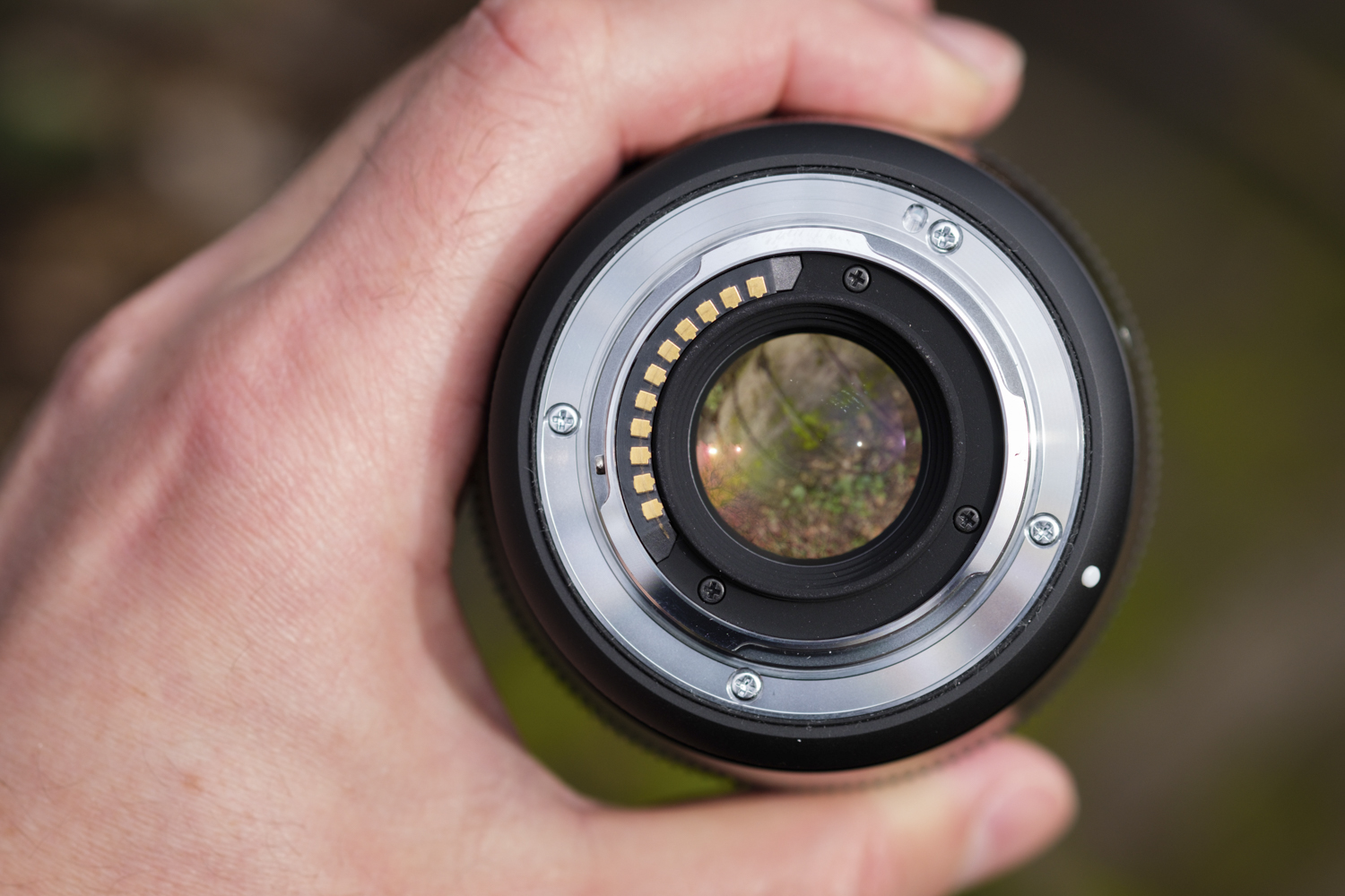 Is the Sigma 16mm F1.4 Lens worth the hype?, by Conveyorofrandomness