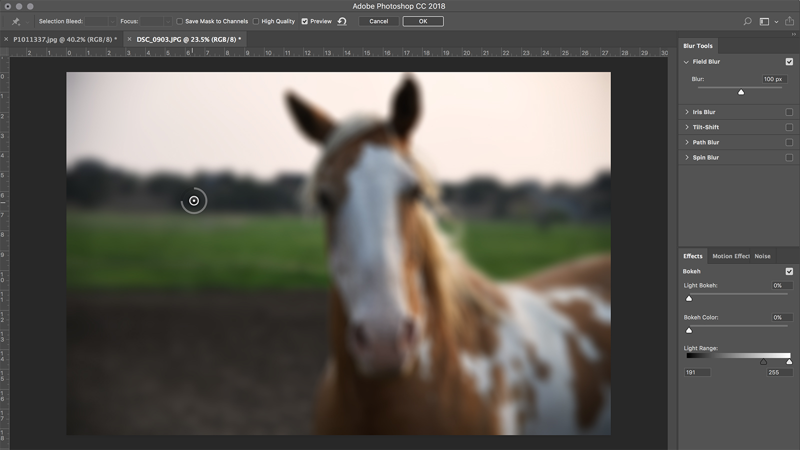 How to Blur a Background in Photoshop Realistically in Minutes ...