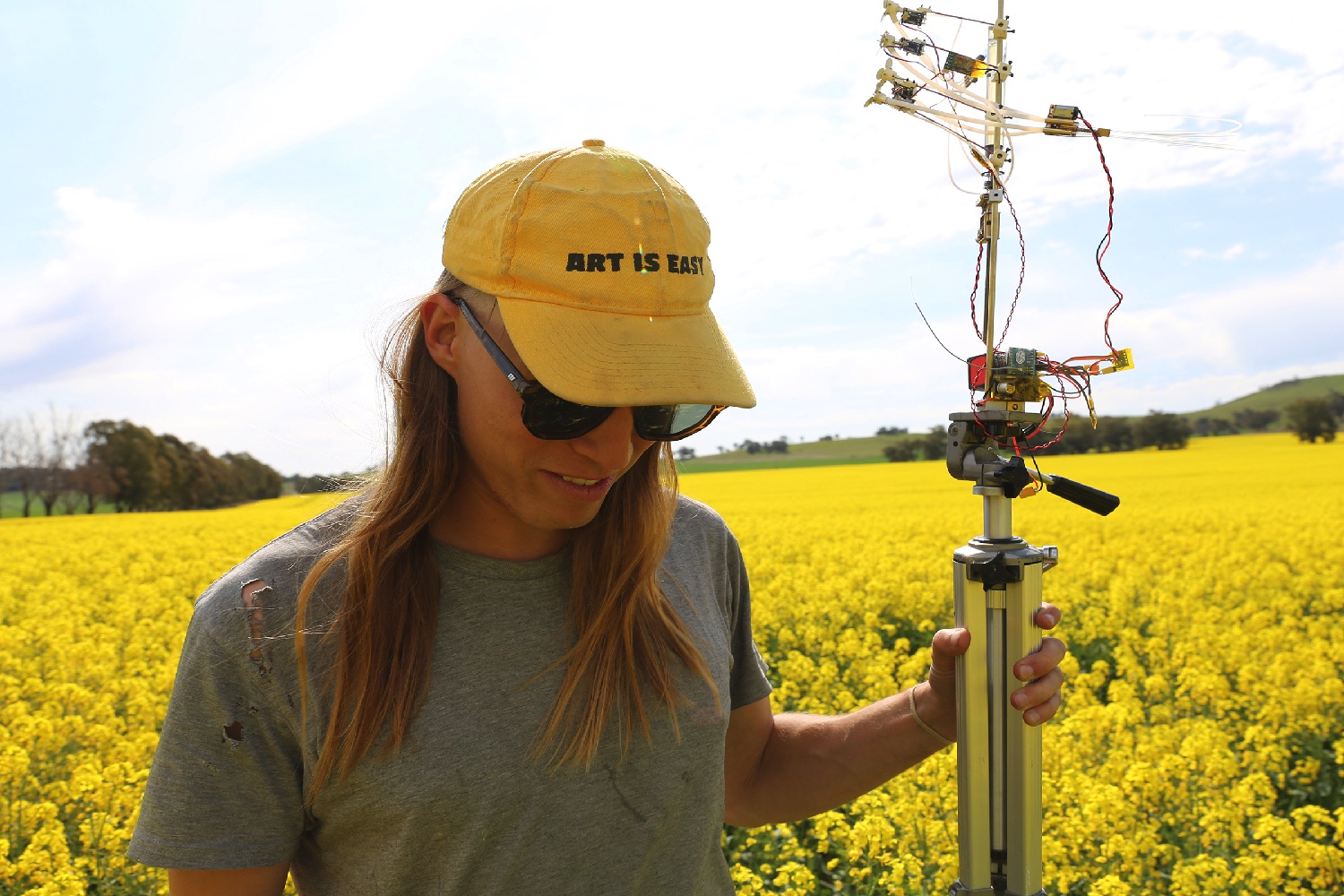 bee attracting robo flower michael candy field tests  image by sarah werkmeister