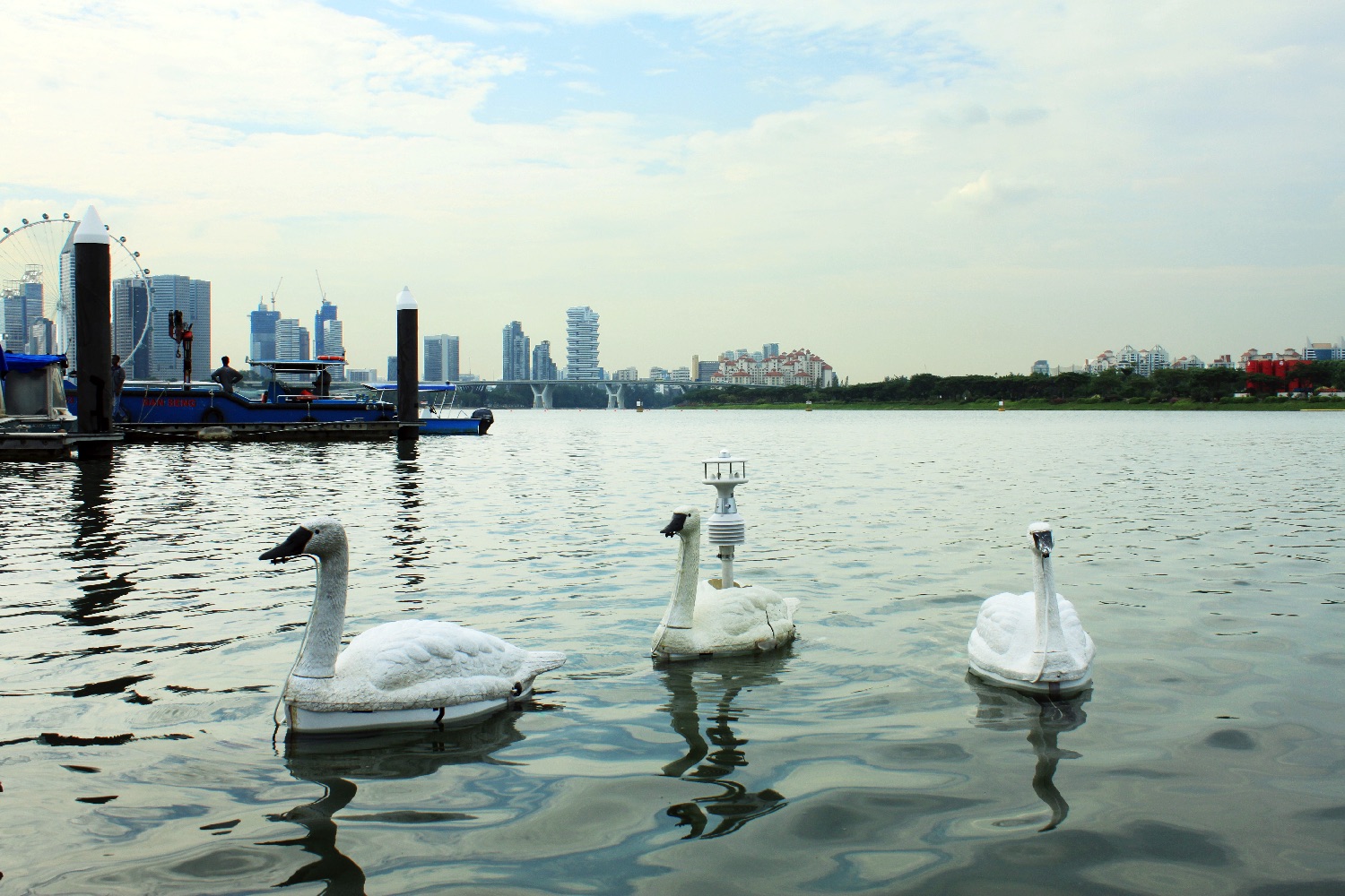 robot swan water quality