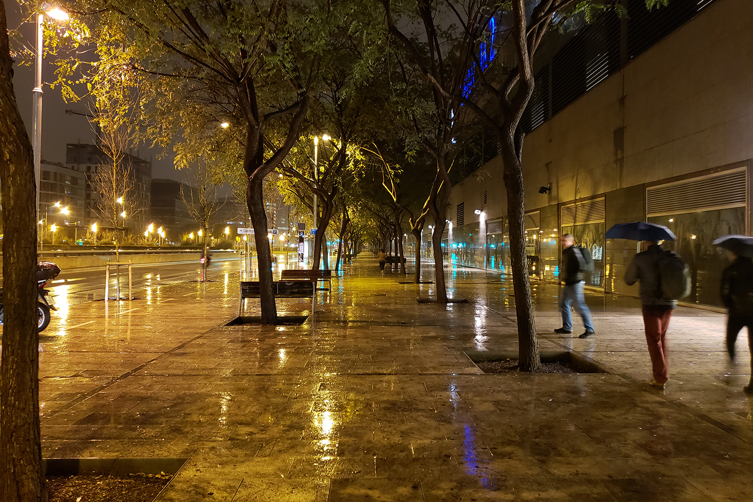 samsung galaxy s9 plus review camera samples rain and trees