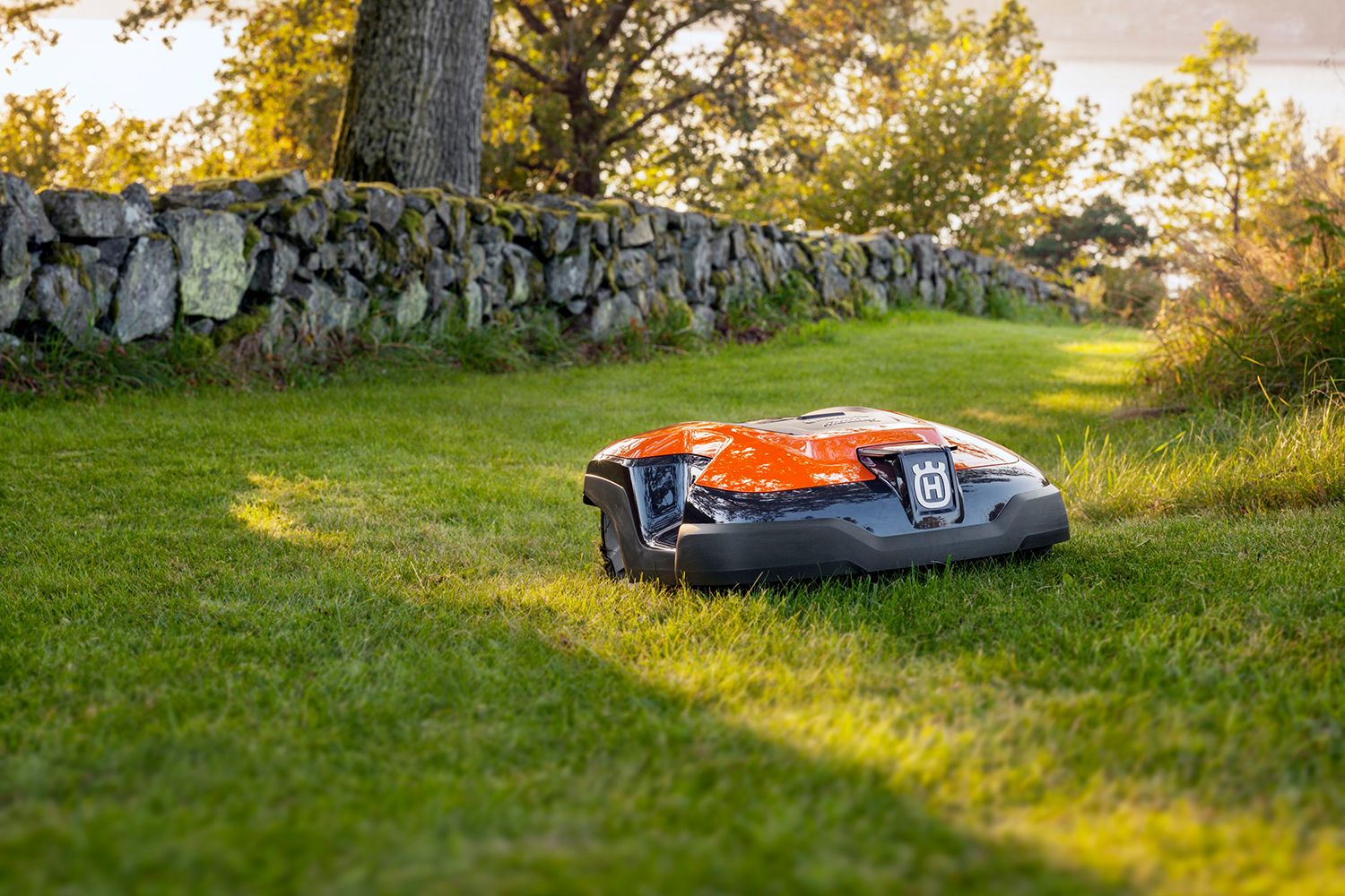 A robotic mower on the grass.