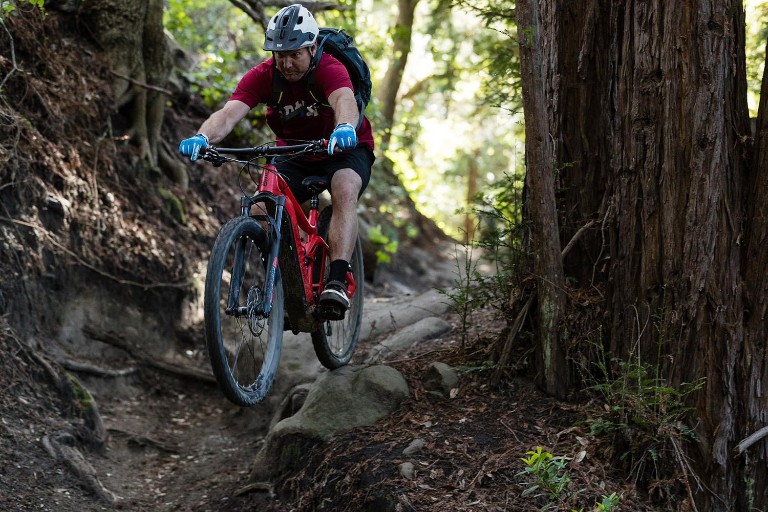 can mountain biking purists be swayed to go electric bmc mtb 10