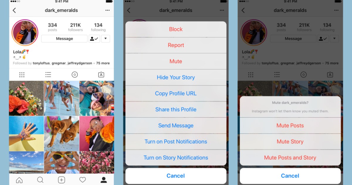 You Can Soon Mute Annoying Friends Clogging Your Instagram Feed ...