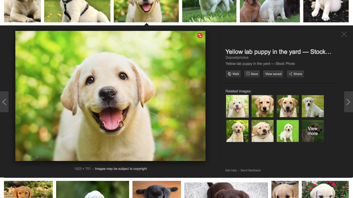 shutterstock showcase new ai search tools reveal googleexample copy