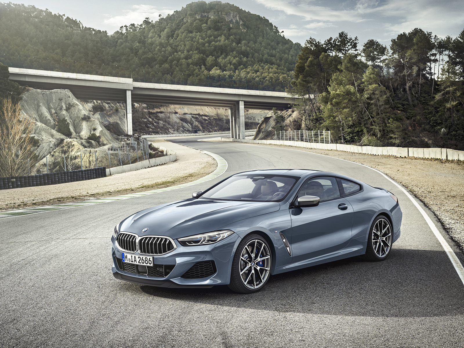 2019 bmw 8 series pictures specs