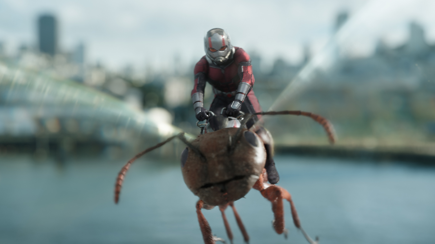 ant man and the wasp review 23