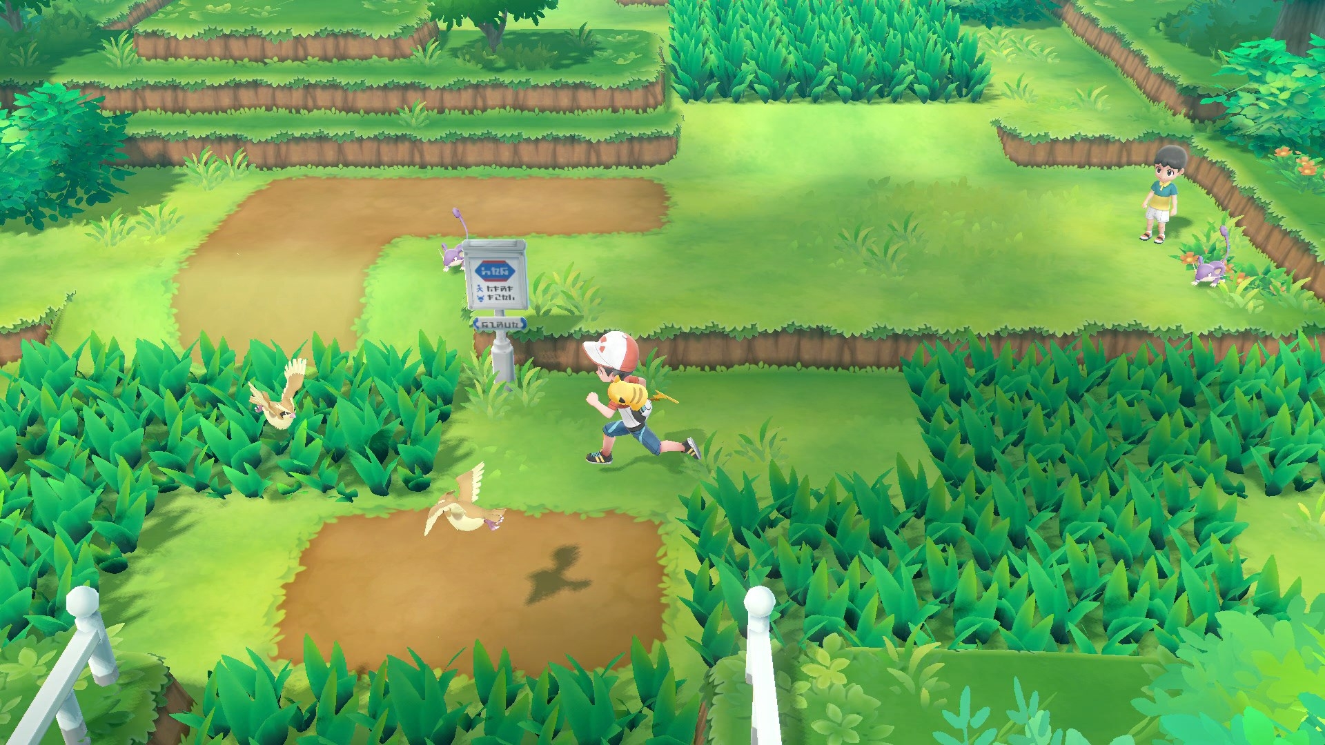 Pokémon: Let's Go, Eevee! (Usado) - Switch - Shock Games