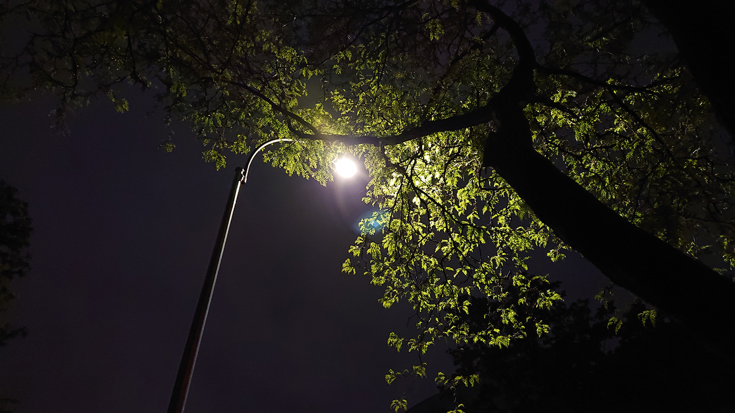 sony xperia xz2 review camera sample low light street lamp