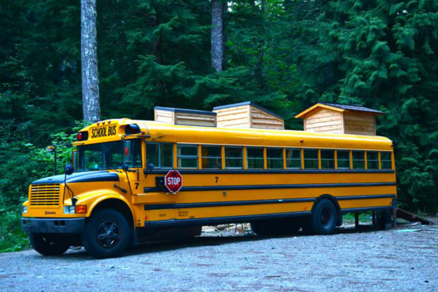 coolest bus to mobile home conversions yellowbus