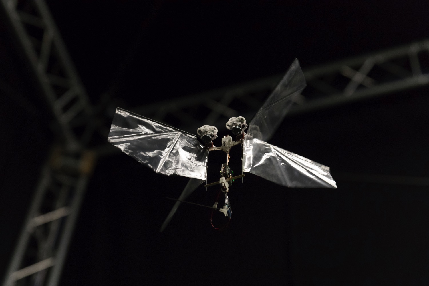 robot flaps just like a fruit fly 20180124 img 5902