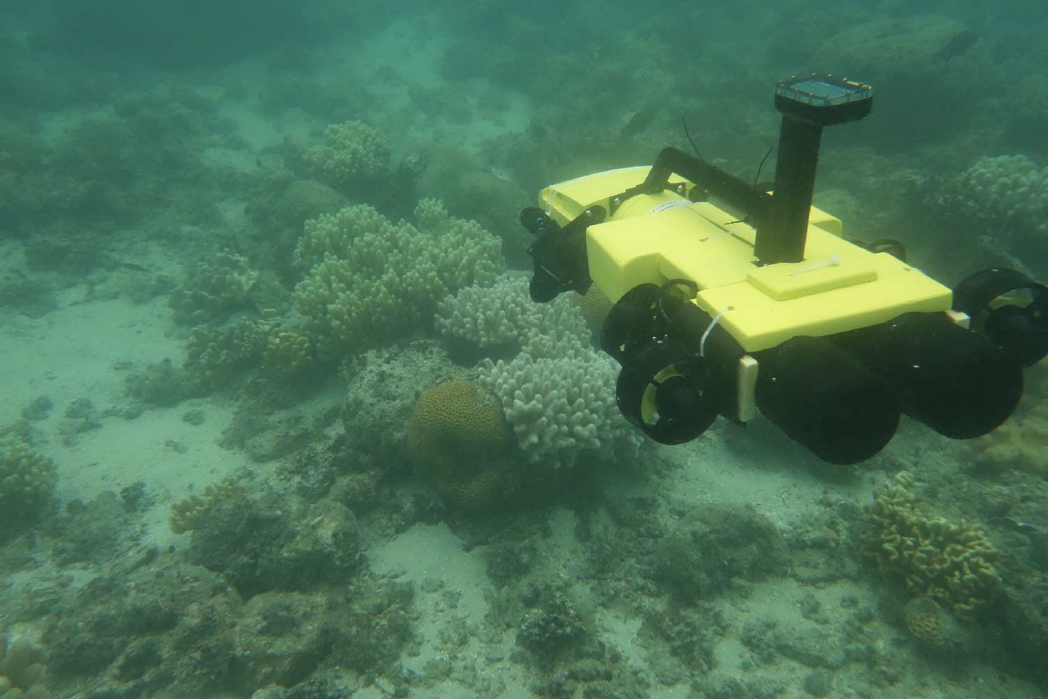 coral reef drone rangerbot test model on 3