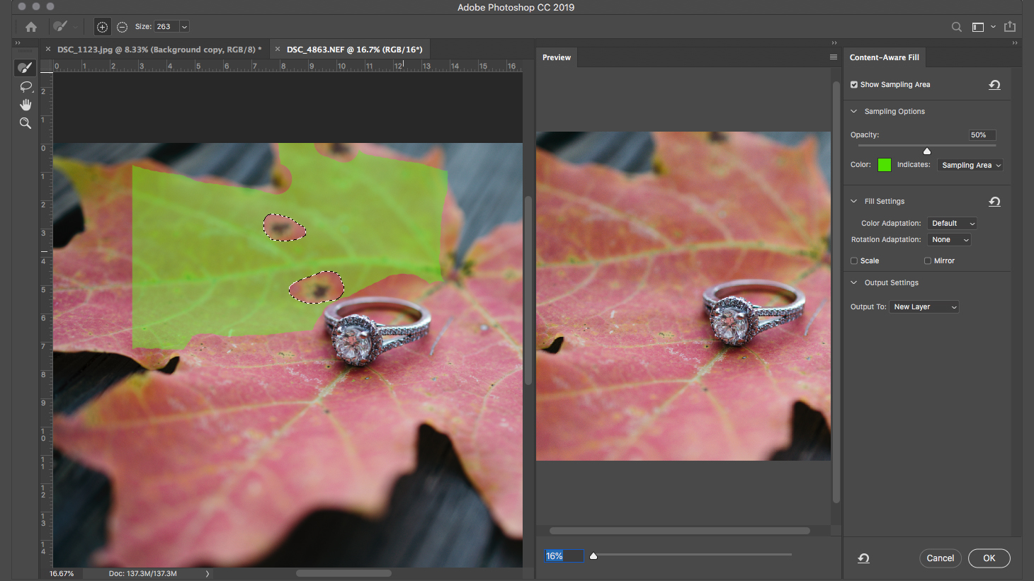 how to remove an object in photoshop content aware fill cafgreenselectionleaf