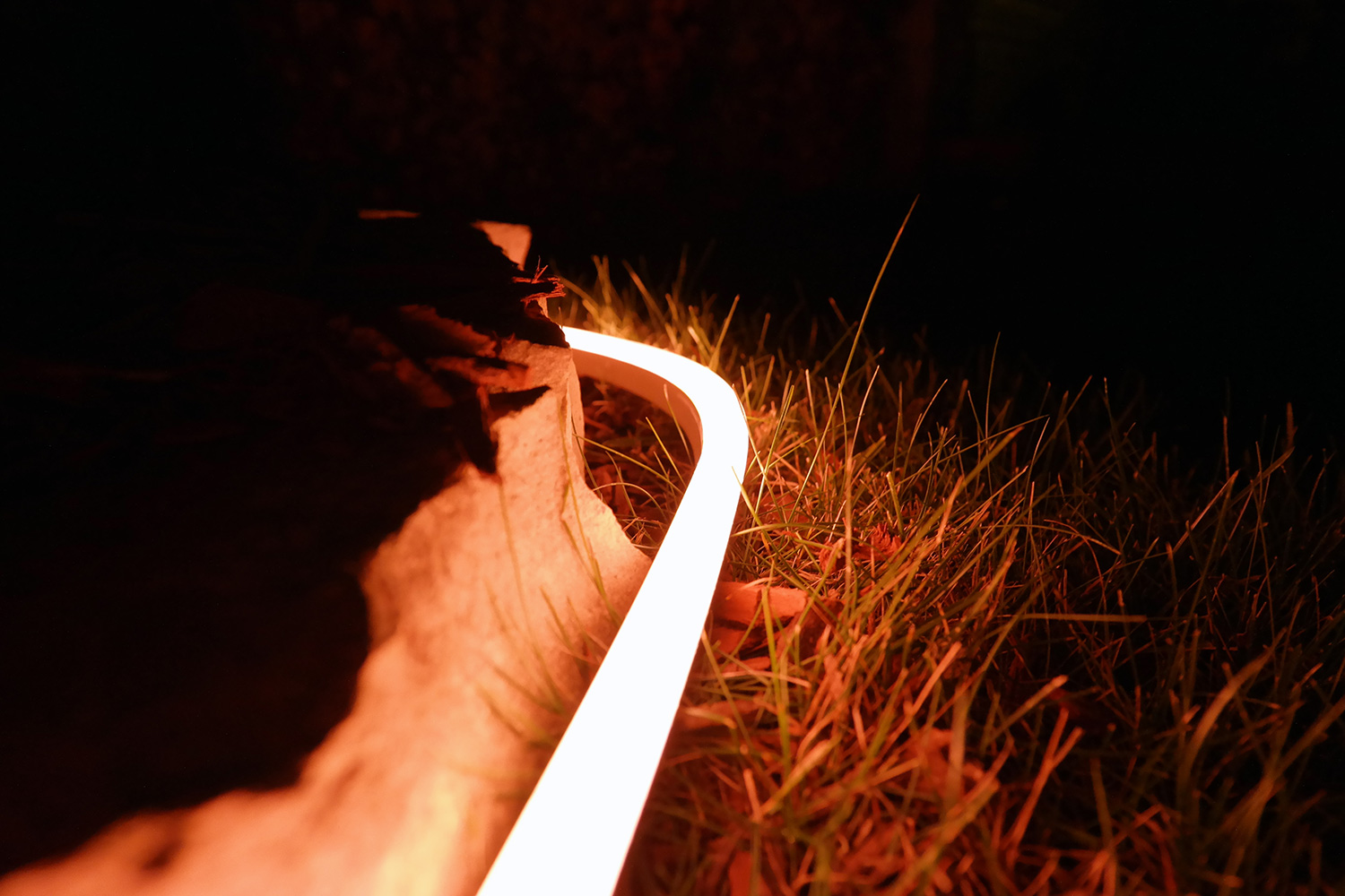 Five Expense Zoo at night Philips Hue Lightstrip Outdoor Review | Digital Trends