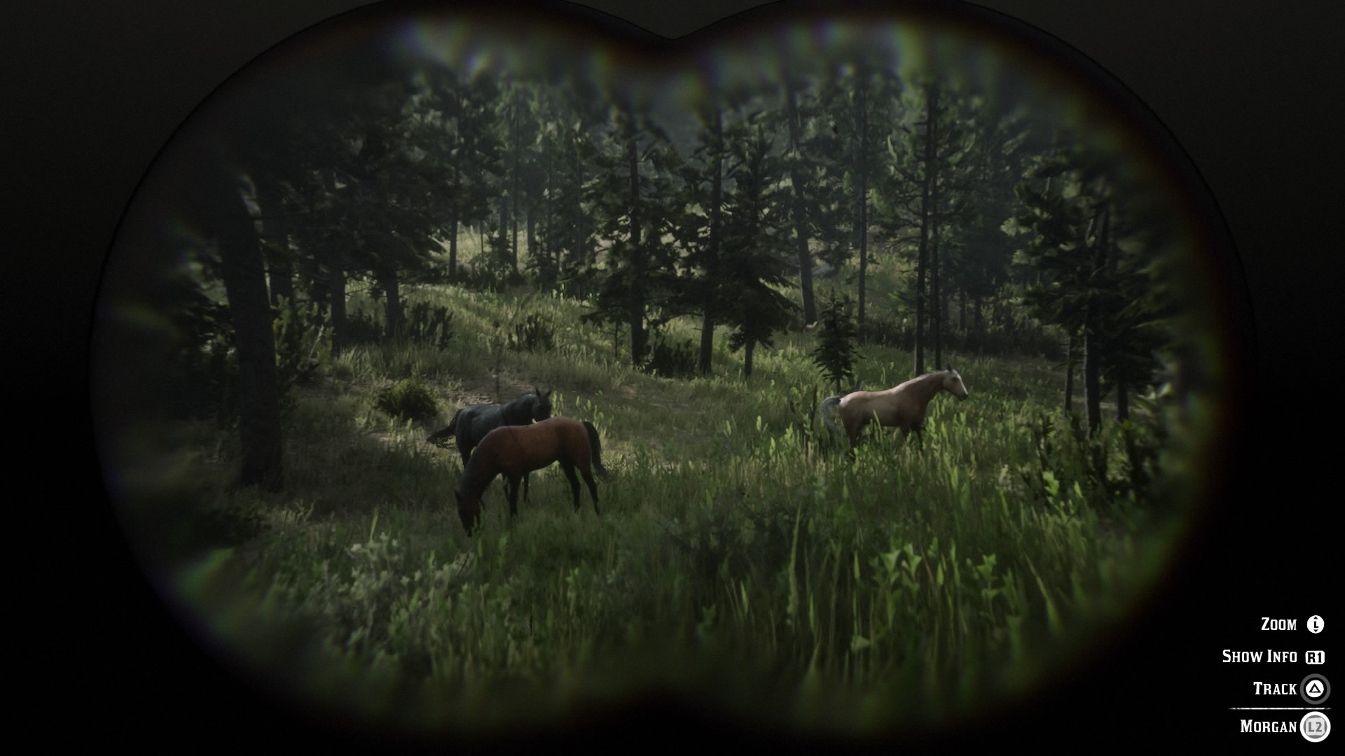 Red Redemption 2: How to Find the Best Horses | Digital Trends