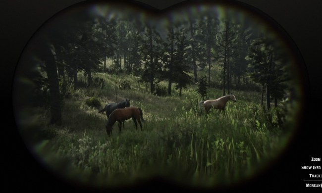 red dead redemption 2 horses guide 20181030235848