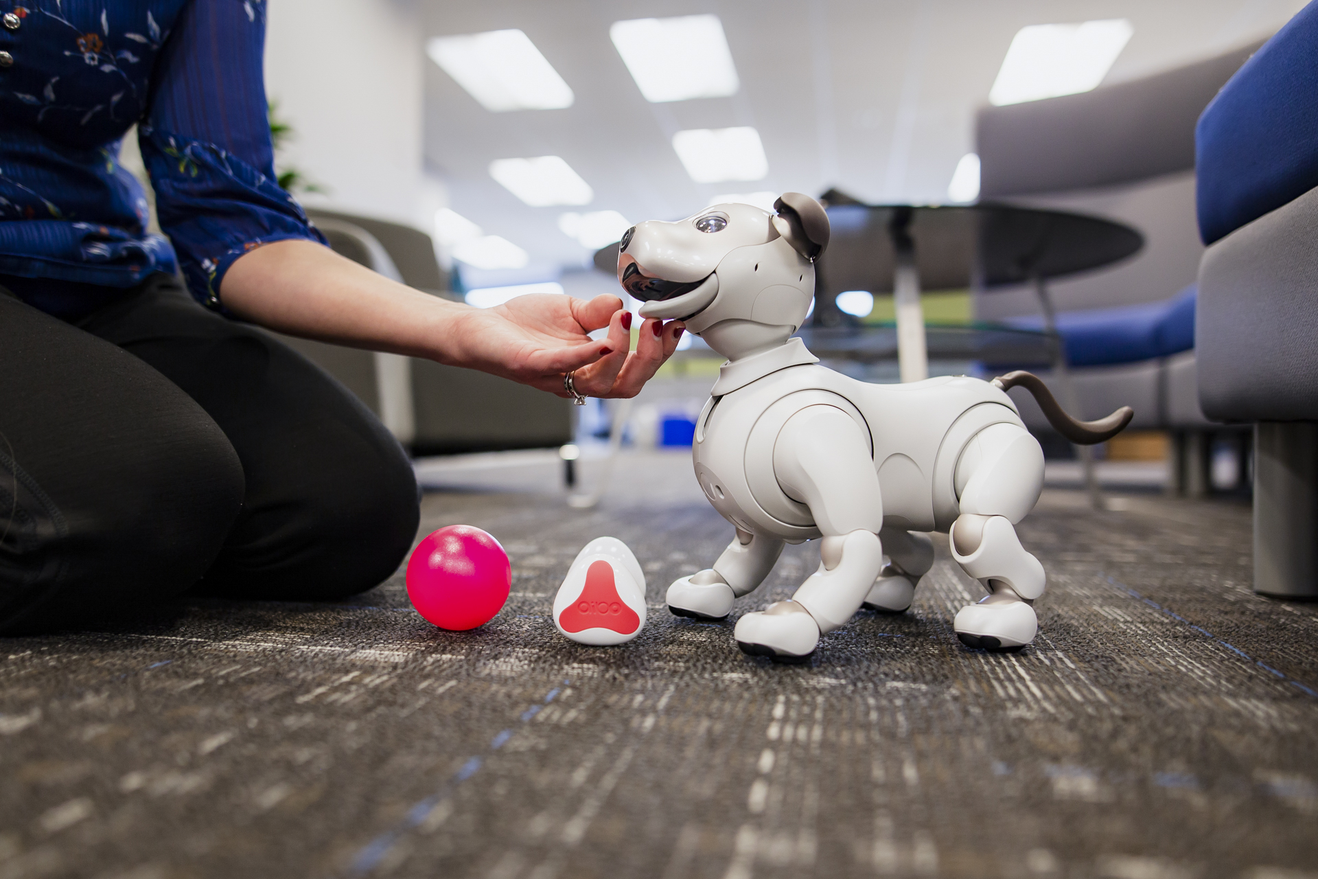 Sony Aibo Robot Dog