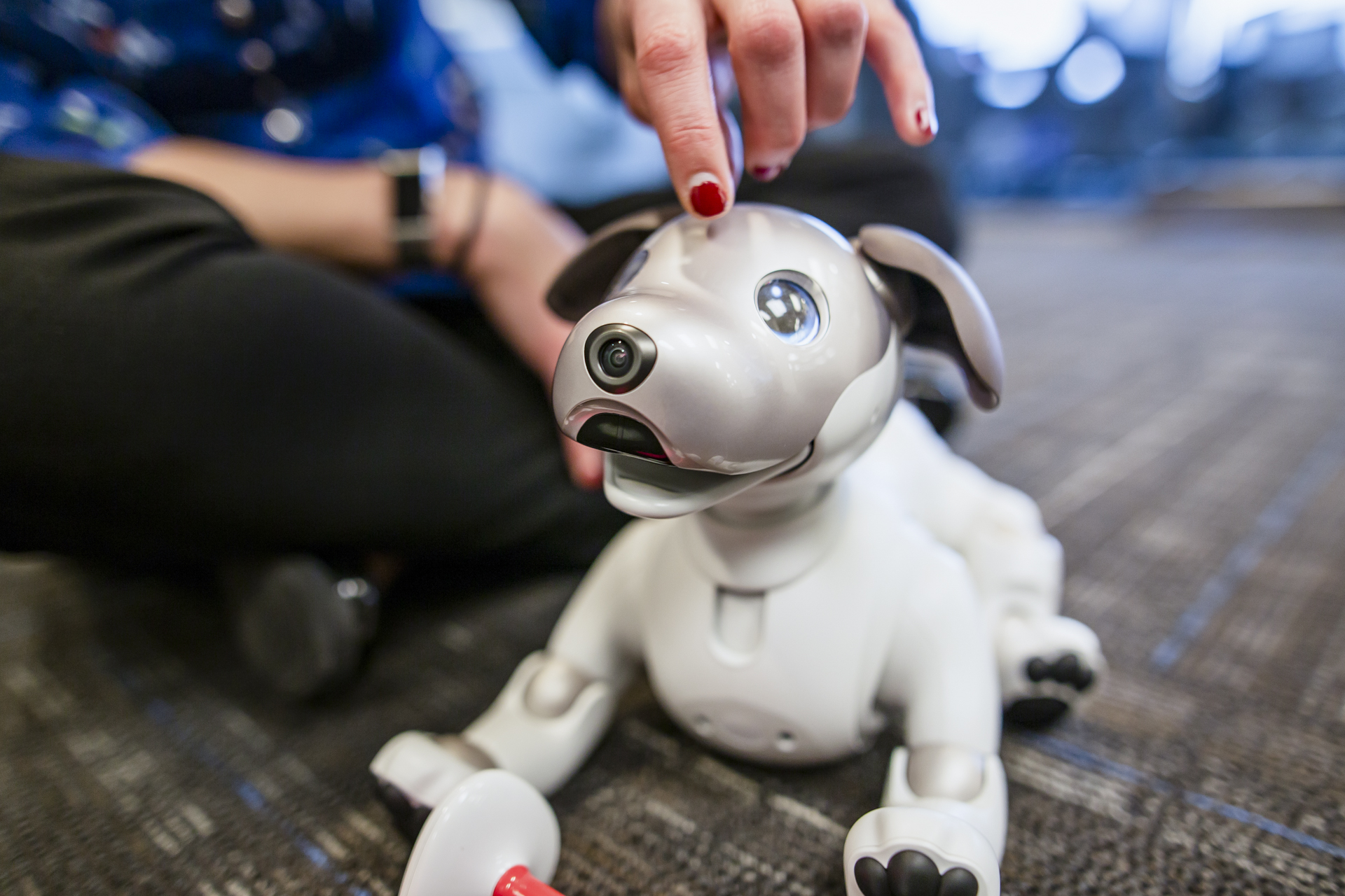 Sony Aibo Robot Dog