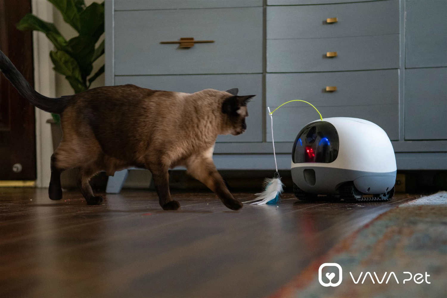 Cat with Vava Mobile Pet cam.