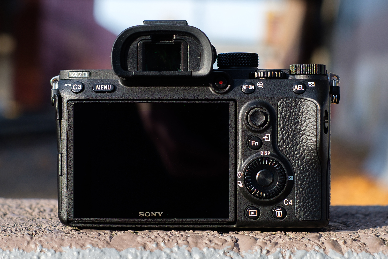 The Sony ALPHA 7 III: An entry point into mirrorless cameras