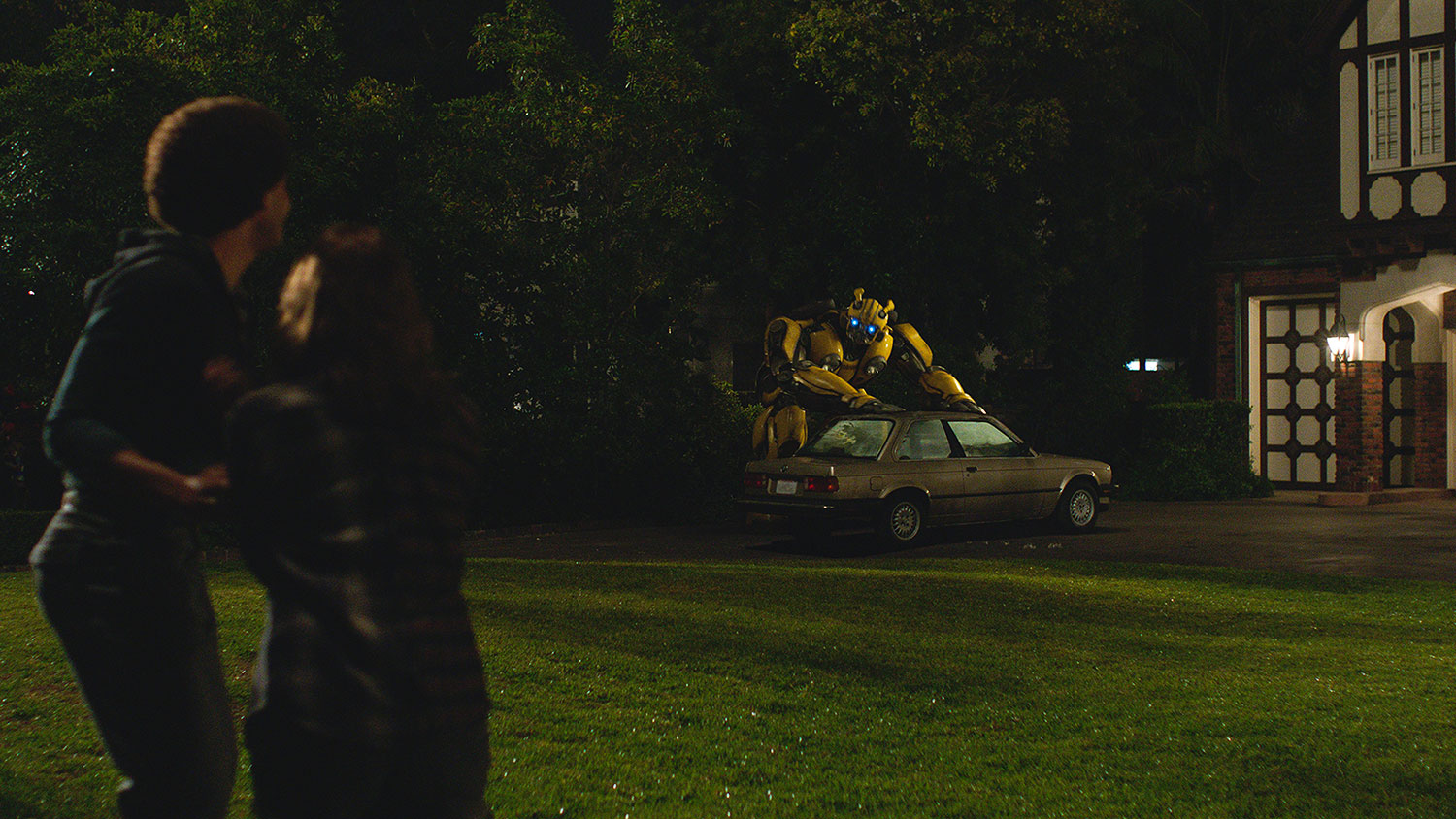 bumblebee review 11
