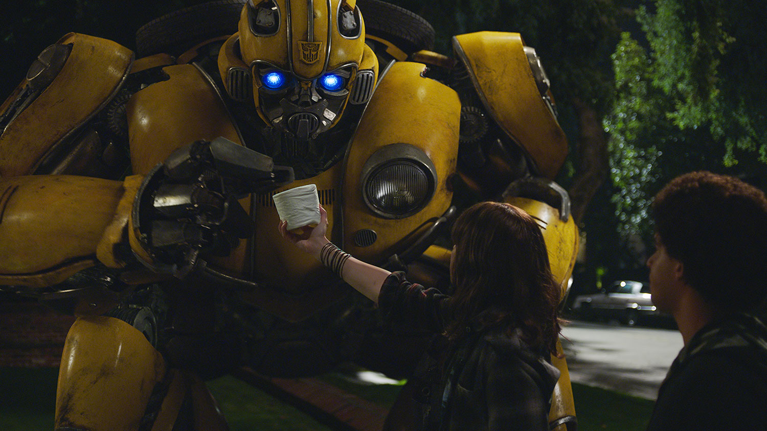 bumblebee review 12