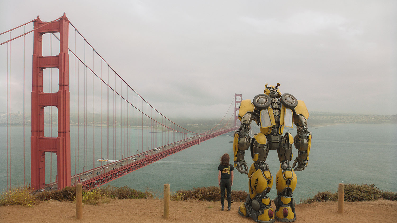 bumblebee review 21