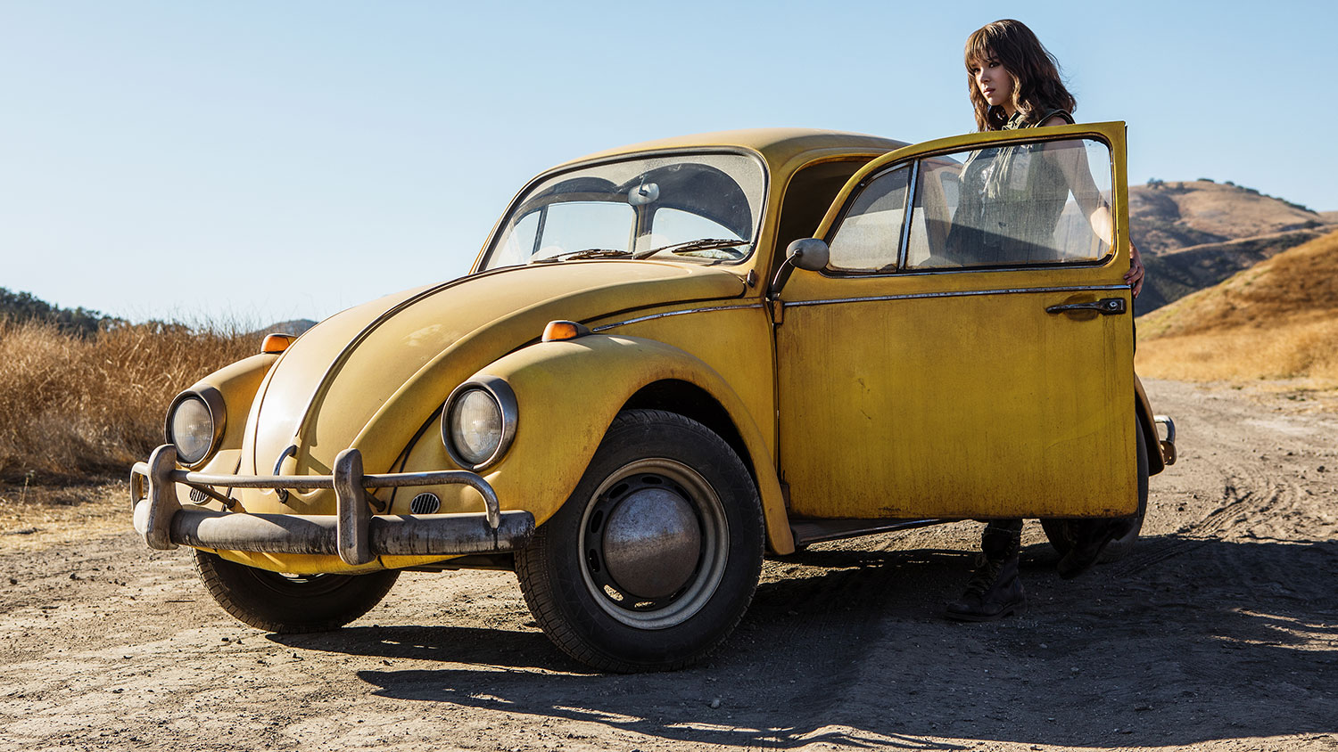 bumblebee review 24