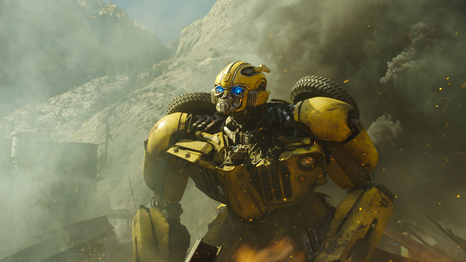 bumblebee review 7