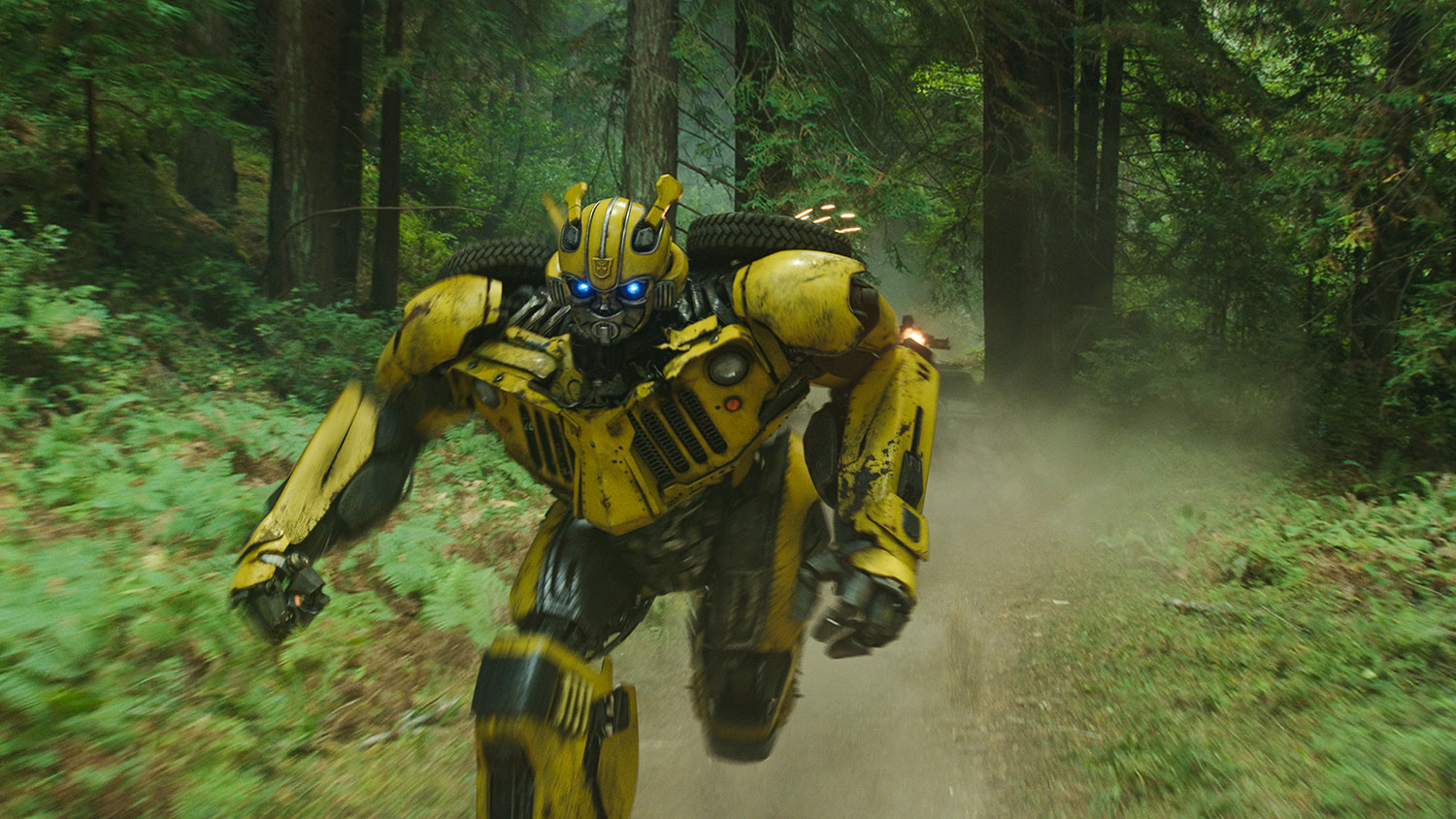 bumblebee review 8