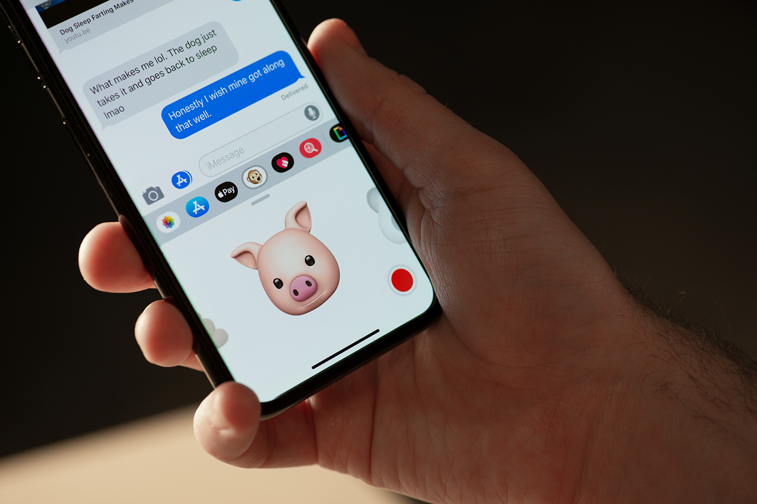 iMessage em um iPhone 11 Pro mostrando uma conversa de texto com o teclado mostrando um porco Animoji gravando o movimento do rosto