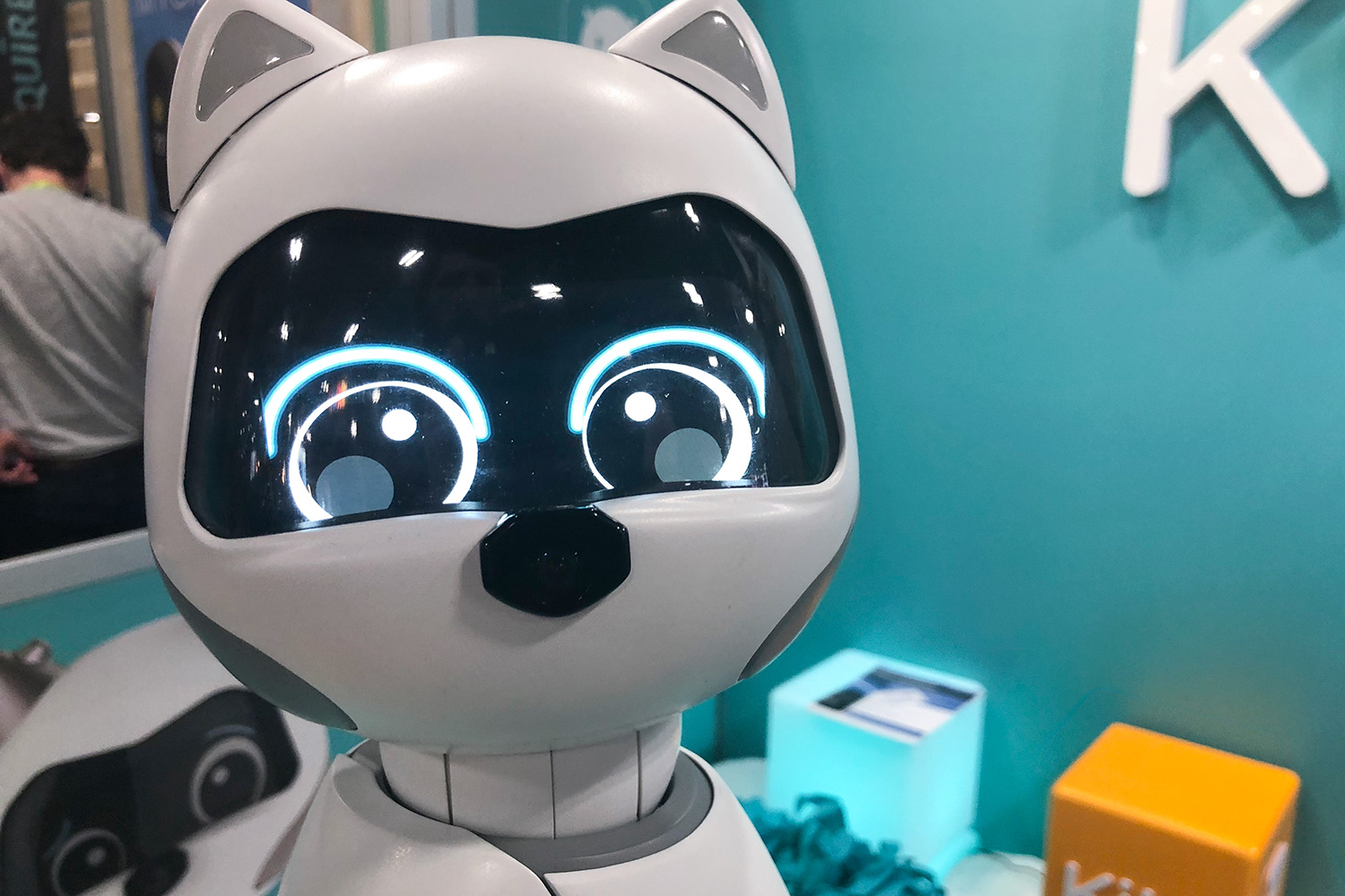 cutest companion robots ces 2019 zoetic kiki staring